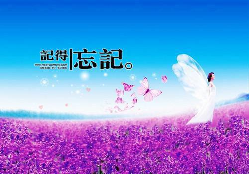 阮书琴顾时晏最新章节免费 阮书琴顾时晏第4章在线阅读