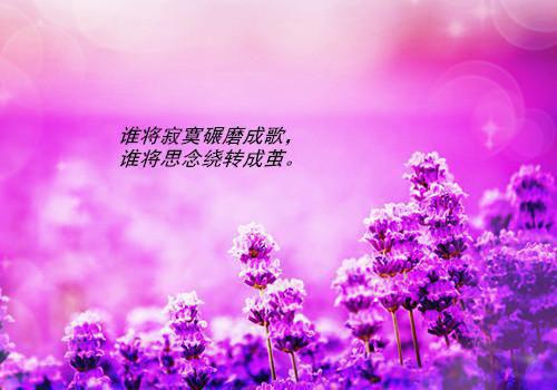 女友出轨发实况照片不屏蔽我程慕斯范河小说免费试读