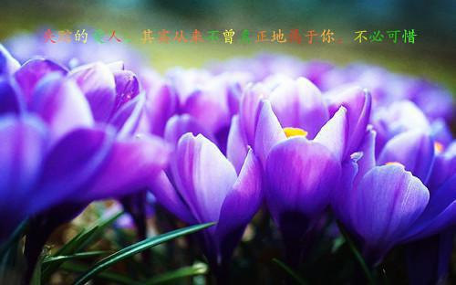 我被妈妈封进水井后，她才爱我全文免费阅读 黄浩然黄余小说微信内阅读