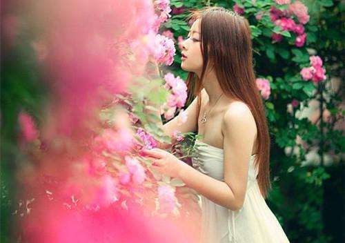 姜妤何心舟姜妤白姜雪娇陆知年是什么小说的主人公 姜妤何心舟姜妤白姜雪娇陆知年免费阅读