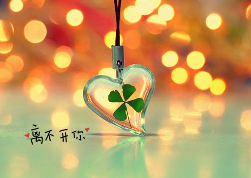 戈问书戈问杰李彩桦完整版 戈问书戈问杰李彩桦小说全文在线阅读