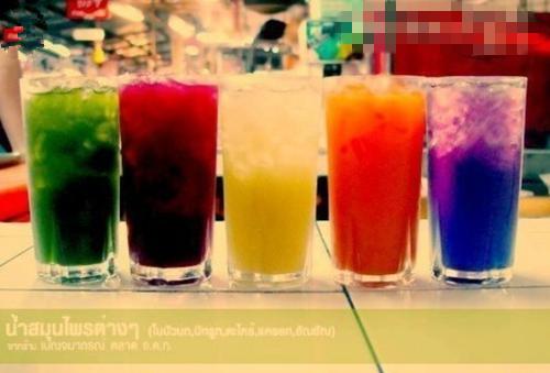 中秋节女友却带竹马回家最后一章在线阅读 陈知黎沈琛陈知颖傅律东全文小说完整版