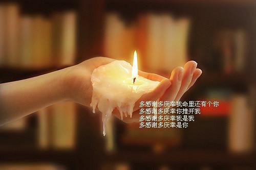 一天升一级，你想退婚就退呗小说（林尘已完结小说全集完整版大结局）林尘小说全文阅读