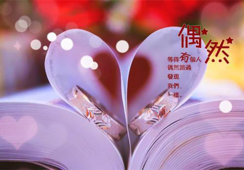萧婥是什么小说 女奴为帝佚名