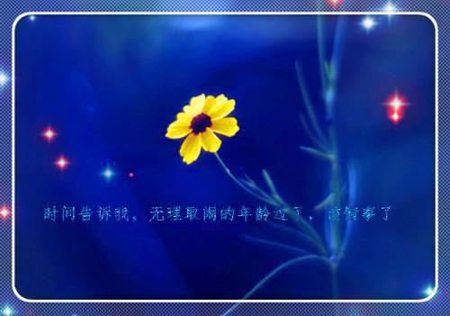 炮灰女逆袭成团宠夏月圆翠桃小说免费试读