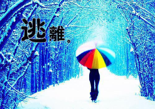 (完整版)王浩小说免费阅读无广告