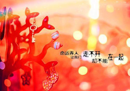 伍黛诗陶盛筠小说叫什么名字 伍黛诗陶盛筠全文免费阅读