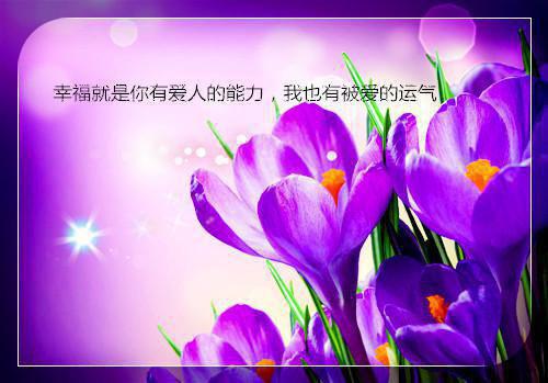 苏芒傅屿迟的小说 苏芒傅屿迟全文免费阅读