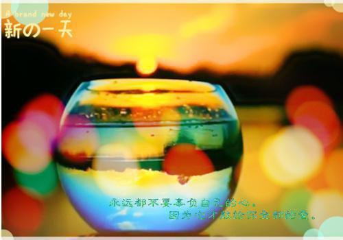 温晚瓷顾时序全文小说全章节阅读