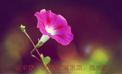 程侑因魏姎江绾玉小说全文免费阅读 程侑因魏姎江绾玉最新章节