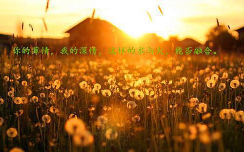 晏茹玥顾临舟全文免费大结局 晏茹玥顾临舟小说在线阅读