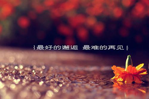 沈既淮奚舒（奚舒沈既淮：结局+番外）小说免费在线阅读_沈既淮奚舒全本最新后续阅读（奚舒沈既淮：结局+番外）