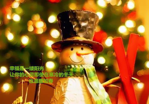 顾南陆雪苏阳小说全文阅读 顾南陆雪苏阳
