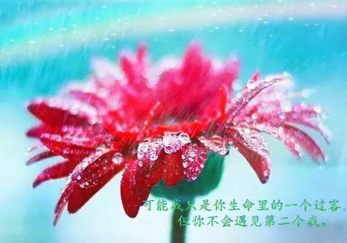 袁欣欣小颖辛夷主角小说叫什么 为儿子我忍出轨老公，他却看不起我免费阅读全文
