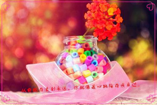 连逐清阿扶眉儿是哪部小说的主角 连逐清阿扶眉儿全文阅读