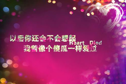 阮棠绫秦微明免费小说 阮棠绫秦微明完结版在线阅读