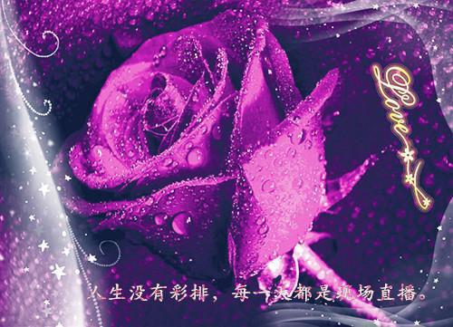 周湛沈梨季延小说名字 我死在妻子的恶作剧中无删去广告精彩章节手机内在线试读