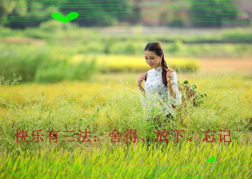 贺临川谢今妗免费阅读小说 贺临川谢今妗第0001章