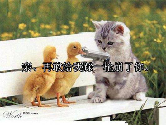 (抖音小说)萧然柳念白小说全文阅读免费
