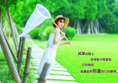 费慕辰凤晴小说 夫君太生猛章节阅读