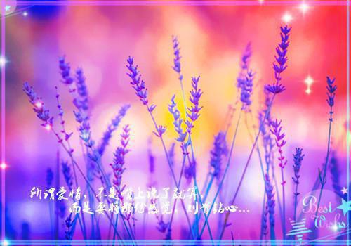 兰烬洛倾欢是什么小说 兰烬洛倾欢全本免费阅读