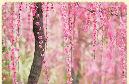 狄烨慕容玉庞初雪温凌最新篇章 女配也要精彩人生全本免费阅读