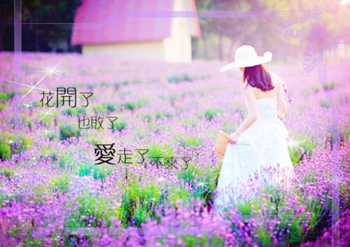 星星小说名字 星星全文免费阅读