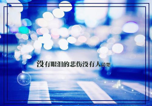樱花树下：白月光夏落落最新章节 谢辞安夏落落姜欣彤在线阅读