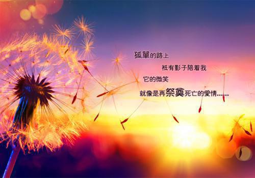 意外悔悟顾延顾临舟大结局全本免费阅读
