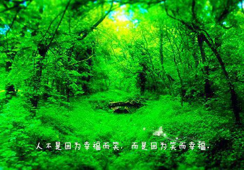 姜芷音岑修宸（姜芷音岑修宸）全文免费阅读无弹窗大结局_姜芷音岑修宸:姜芷音岑修宸小说最新章节列表（姜芷音岑修宸）