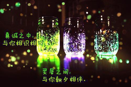 苏沐禾谢松寒免费阅读 苏沐禾谢松寒大结局
