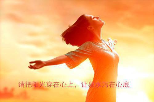 (最新)金朵儿陆司凛小说完整版免费阅读