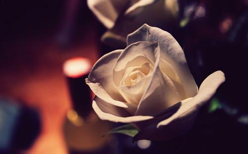 陈芊芊王晓晓是啥小说 陈芊芊王晓晓免费阅读无广告
