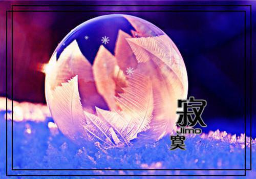 丈夫害我滑胎后，转身宣告我不孕！桑冉季时宴小说免费试读