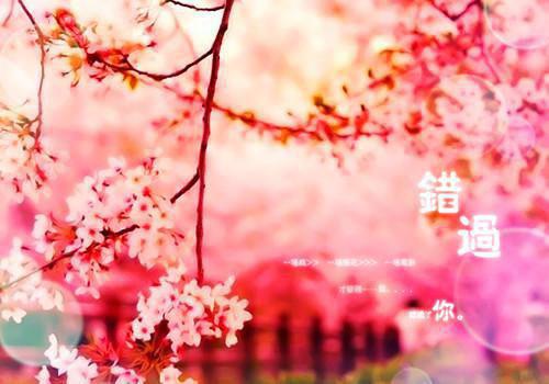 爱意逝去最新更新 傅子言顾雨清小说在线阅读