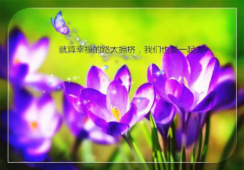 叶姝姝祁北胤小说全免读 叶姝姝祁北胤第二章在线阅读