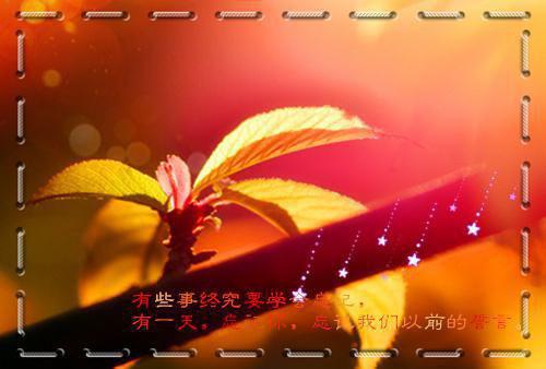 主角沈颖邹隽岩小说免费阅读最新章节