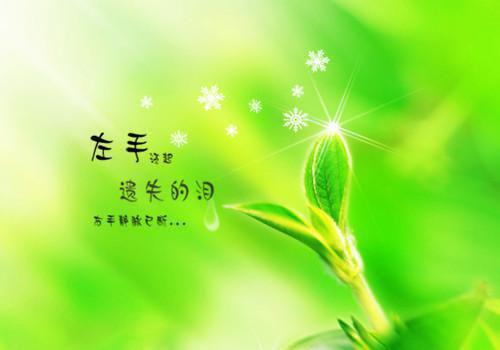 (抖音小说)卫明徽姬九野小说全文阅读免费