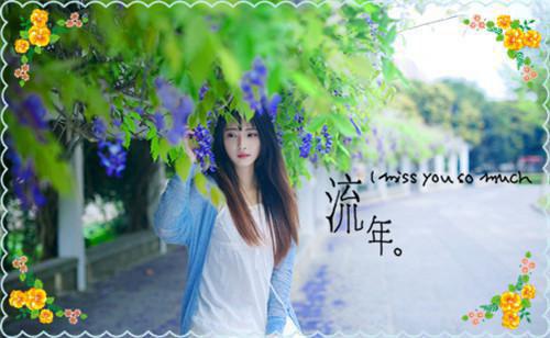 季晏礼姜嫣程淮最新篇章 解除婚约后，她痛哭流涕求我原谅全本免费阅读