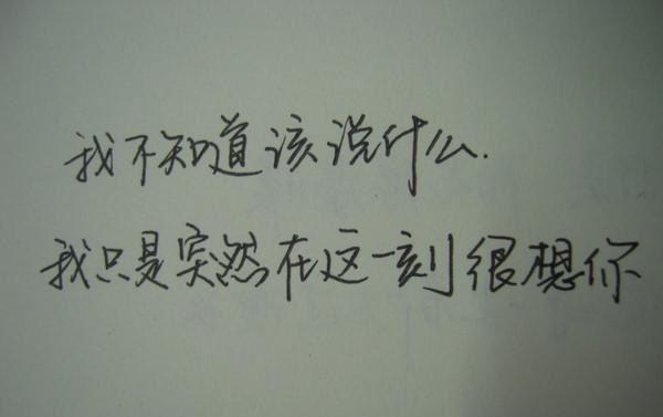 苏蕴然谢琰白免费小说 苏蕴然谢琰白全文阅读目录