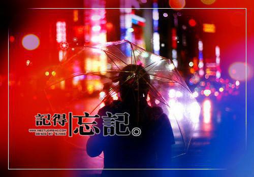 (完整版)江淼淼沈澜琛小说免费阅读无广告