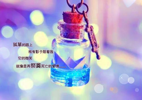 (抖音小说)许乘月裴舟小说全文阅读免费