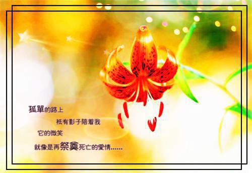 捞女想做公司老板娘，我把她送牢房小说最新章节 韩姗姗楚总结局是什么