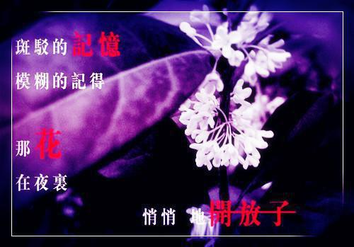 江程宋思月沈云舟是什么书 江程宋思月沈云舟免费章节在线阅读