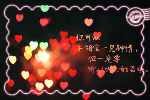 林清初霍沢免费小说 林清初霍沢全文阅读目录