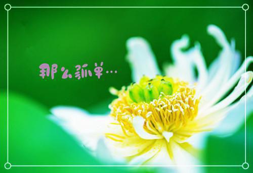 林花玉顾延川小说在线阅读 林花玉顾延川最新章节目录