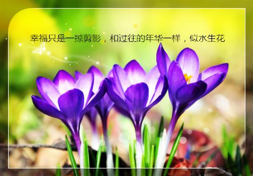 (最新)苏吟程迟予小说完整版免费阅读