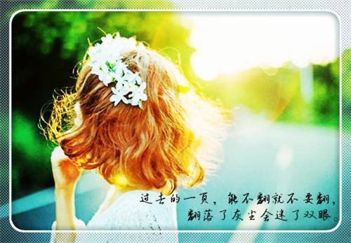 林毓奚盛淮:结局+番外（盛淮林毓奚）完整全文在线阅读_林毓奚盛淮:结局+番外免费阅读全章节目录（盛淮林毓奚）