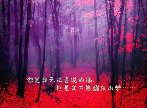 沈萌萌顾长缨全文阅读 沈萌萌顾长缨小说最新章节