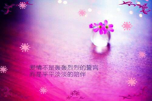 姜暖竹许鹤仪小说鹤鹤有鸣完整版大结局 姜暖竹许鹤仪小说完结版在线阅读